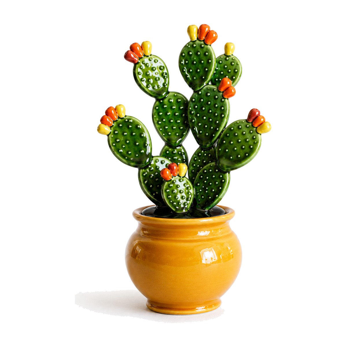 Cactus fico d India in vaso di ceramica - Artelier Matera